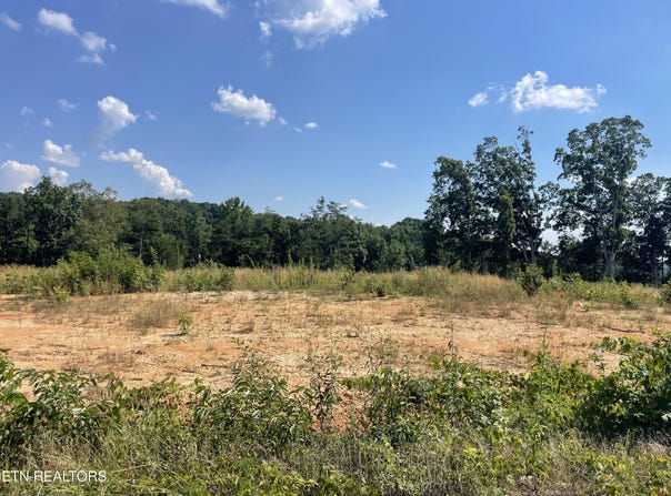 Lot 20 Laura Boling Loop Rd, Strawberry Plains, TN 37871