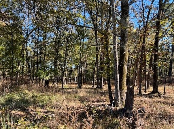 136 Deer Valley Circle, Broken Bow, OK 74728