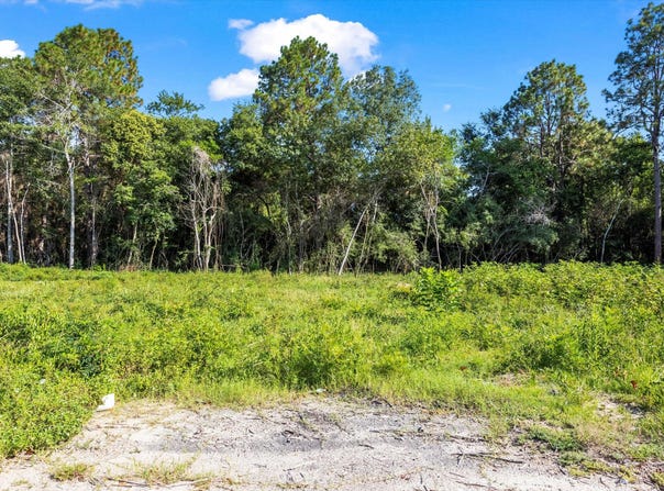 000 Walker Avenue SE, New Ellenton, SC 29809