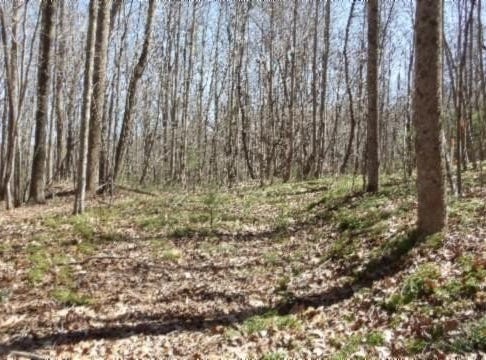 391 Ridge Road, Lancing, TN 37770