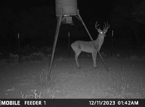 129 Big Buck Run Road, Menard, TX 76859