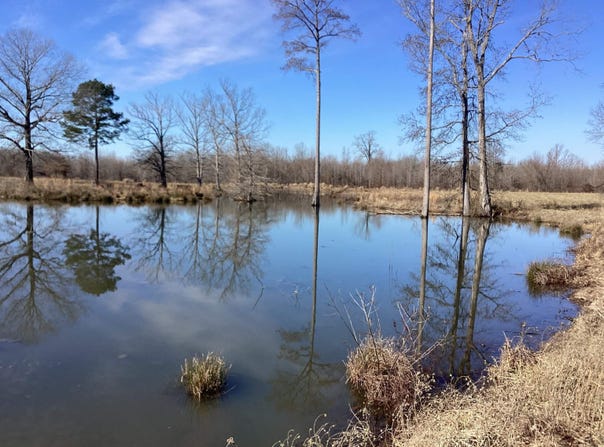 County Road 41, Prescott, AR 71857