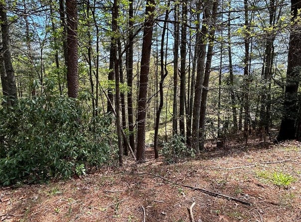 Lt699 Choctaw Drive, Ellijay, GA 30540