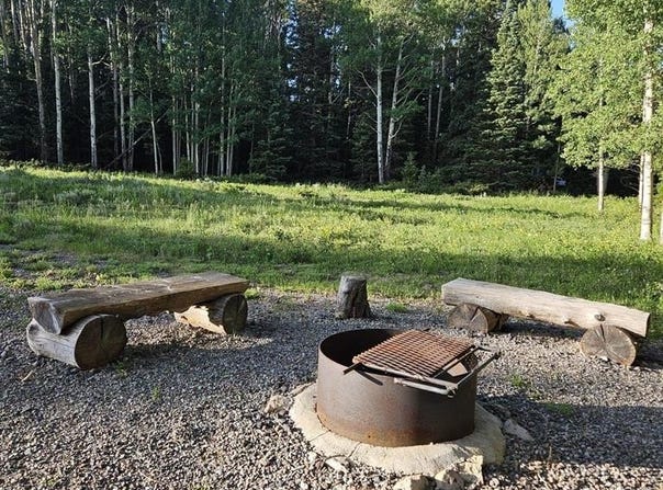 1205 Hazel Lake Drive, Cimarron, CO 81220