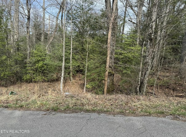 Ferry Bend Tr, Crossville, TN 38571