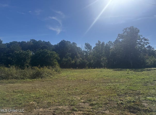 Integrity Road lot: 5, McComb, MS 39648