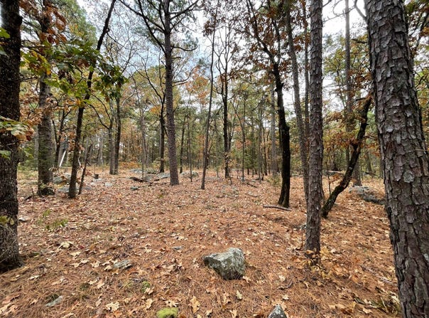 Unit 156 Horsehead Mountain Road, Moyers, OK 74557