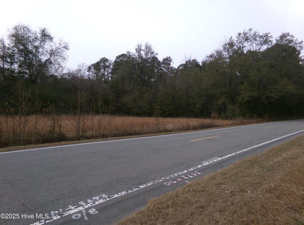 Ivanhoe Road lot: 1, Harrells, NC 28444