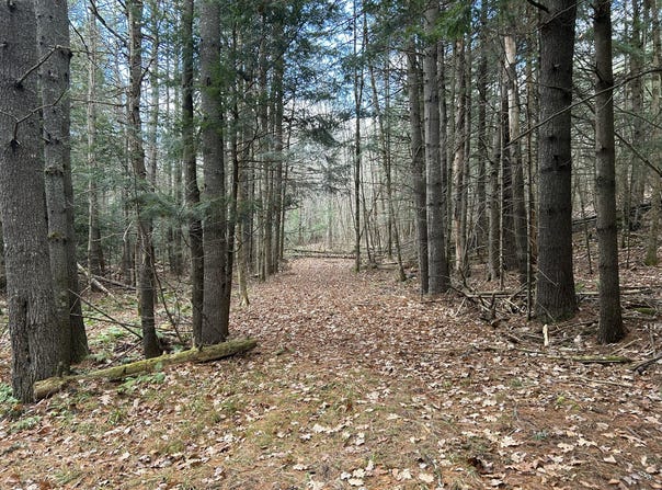 Stream View Drive, Skowhegan, ME 04976