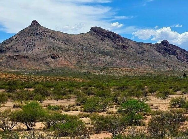 38.76 Acre N Bruno Road, Douglas, AZ 85607