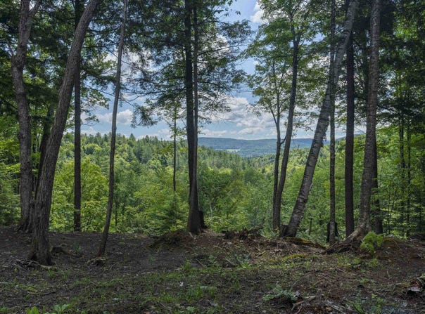 TBD Arbor Lane, Duxbury, VT 05660