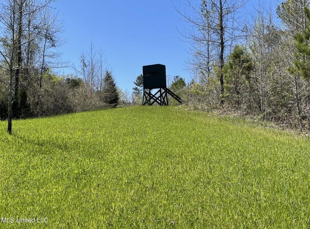 County Road 3222, Ethel, MS 39067