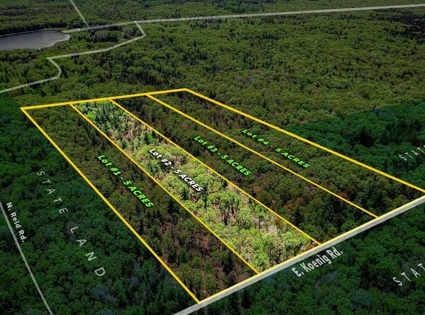 Lot 2 E Koenig Road, Free Soil, MI 49411
