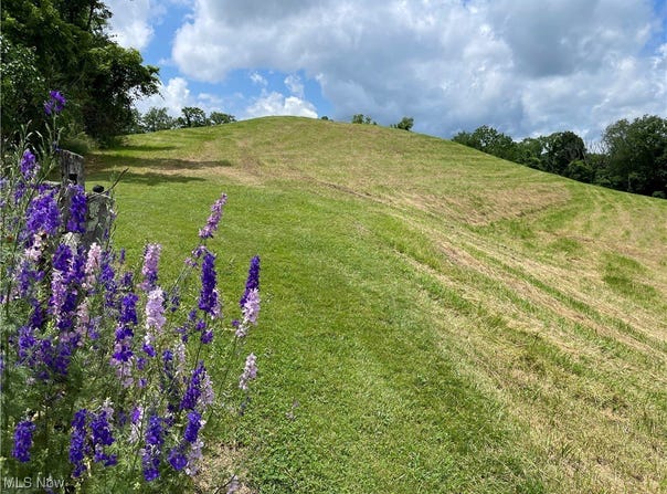 Cain Ridge Road, Clarington, OH 43915
