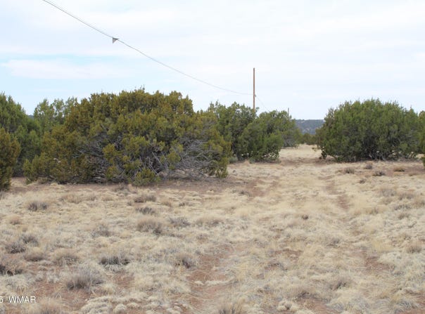 21 & 23 CR 8004, Concho, AZ 85924