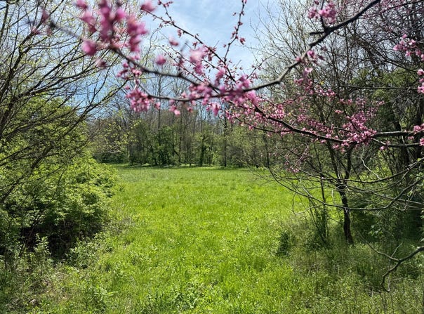 0 N Patterson Rd, Brownsville, IN 47325