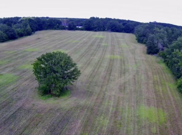 30 Acres Union, Hahira, GA 31632