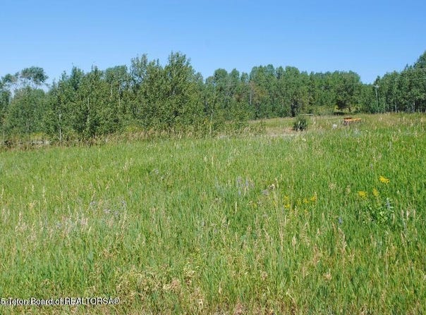 WEST ELKHORN Drive, Star Valley Ranch, WY 83127