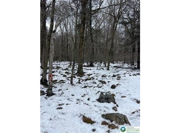 Cobblewood Road, Wayne, PA 18424