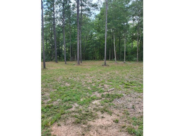 373312 CR 3160, Colmesneil, TX 75938