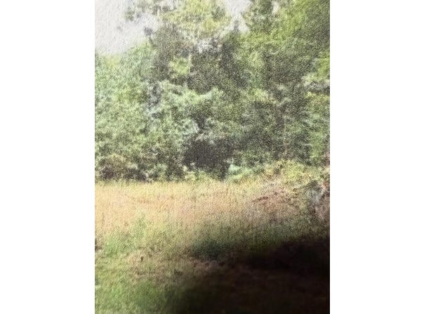 Raintree Rd, Roanoke, VA 24018