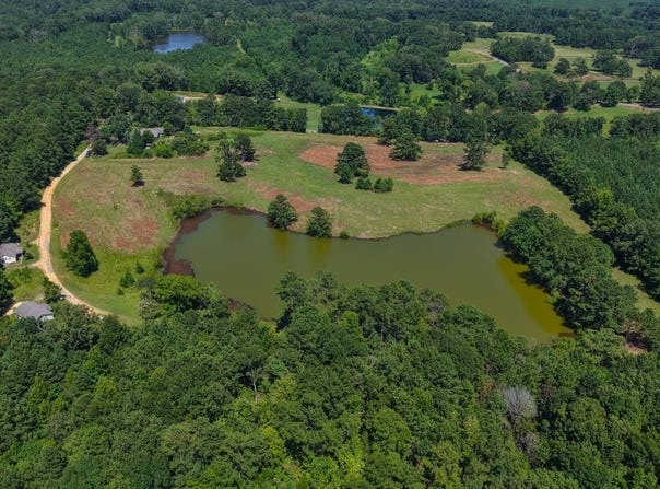 0 Old Sellers Road, Ramer, AL 36069
