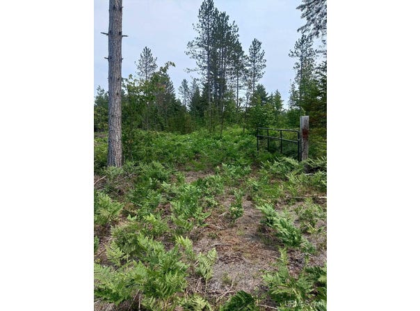 TBD Buckhaven, Newberry, MI 49868