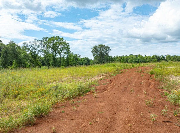 TBD 376 E County Road, Henderson, TX 75652