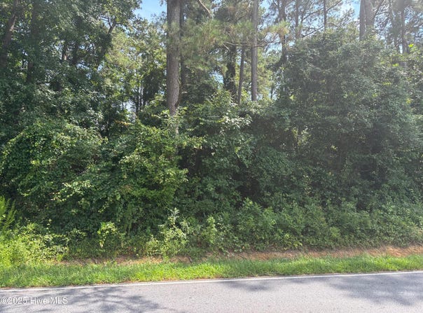 6463 Speights Bridge Road, Stantonsburg, NC 27883