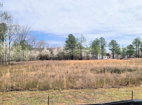 1019 CHANCELLORS FERRY LOOP, HARPERSVILLE, AL 35078