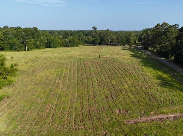 TBD Hillman Rd., Grayson, LA 71435
