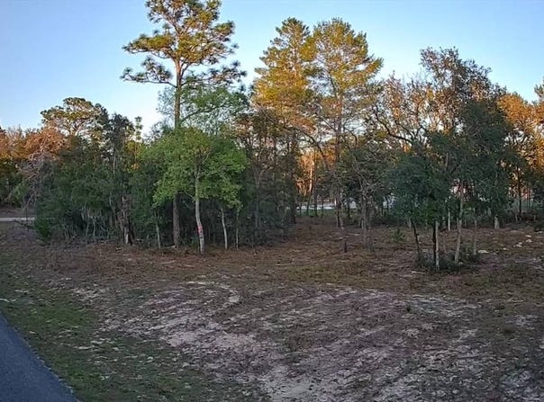 6599 N Varsity Avenue, Citrus Springs, FL 34434