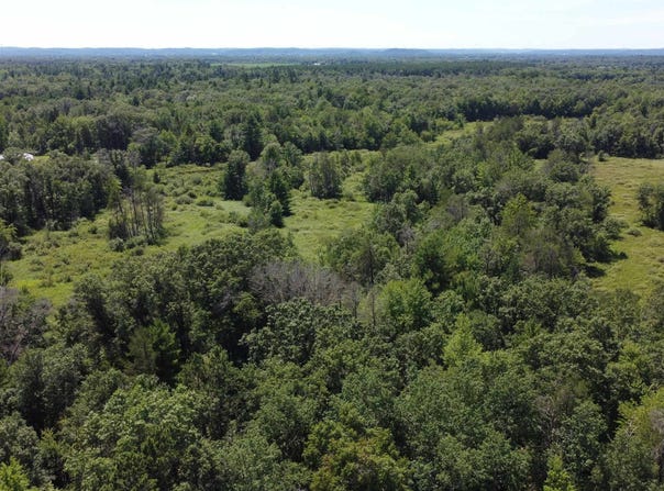 25 Acres Highway 80, New Lisbon, WI 53950