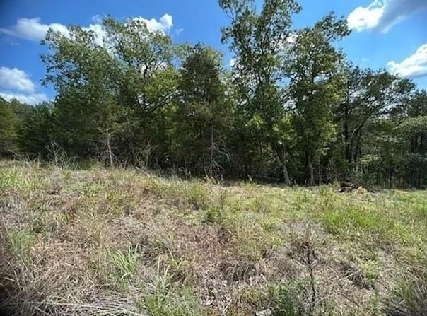 214 Stateline  DR, Holiday Island, AR 72631
