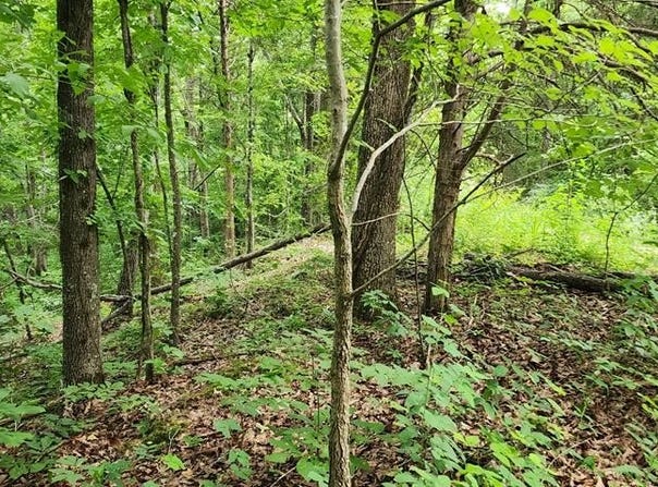 ID21 Lakeview Trail, HOLLADAY, TN 38341