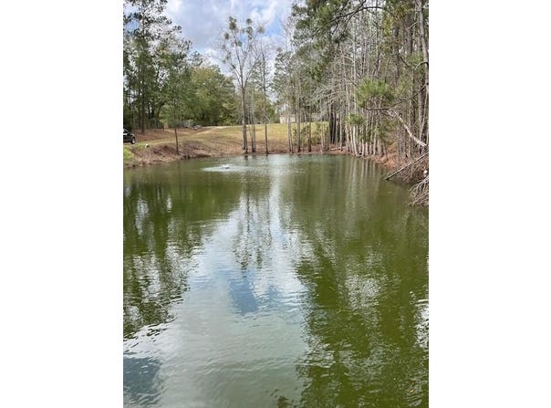909 Cox Ave., Bainbridge, GA 39819