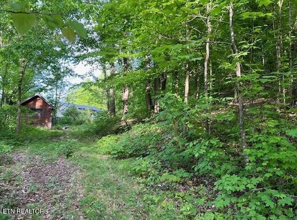 Rogers S Rd, Seymour, TN 37865