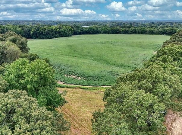 4999 Ben Smith Rd, MCKENZIE, TN 38201