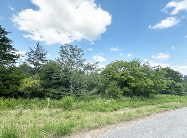 000 Shady Oaks Shore, Forsyth, MO 65653