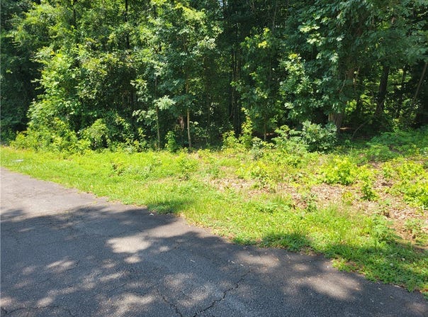 Fox Fire Road, Central, SC 29630
