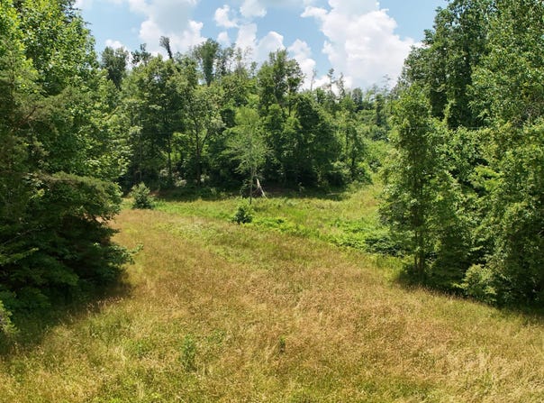 0 Gregory Tuttle Road, London, KY 40744