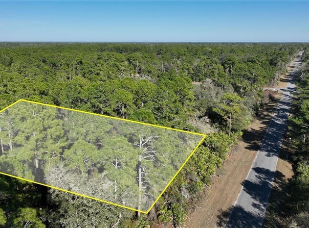 SAFFRON AVENUE, EUSTIS, FL 32736