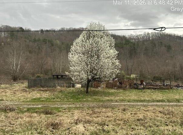 5449 S Ky 233, Gray, KY 40734