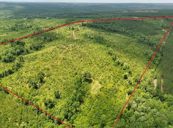 2 Lower Lumpkin Road, Georgetown, GA 39854