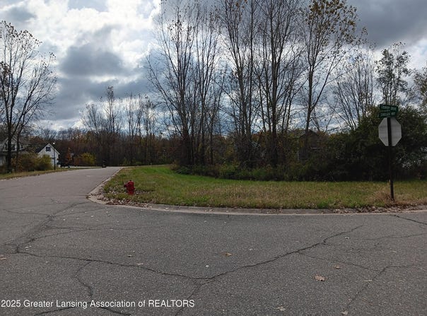 712 Starlight Way, Perry, MI 48872