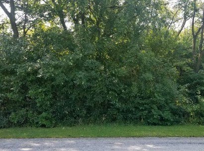 91 E 227th Place, Steger, IL 60475