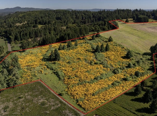 6900 NW Gales Creek Rd, ForestGrove, OR 97116