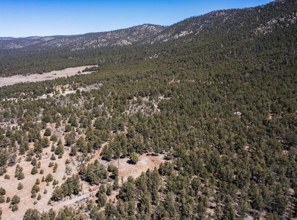 1480 State Road 111, Vallecitos, NM 87581