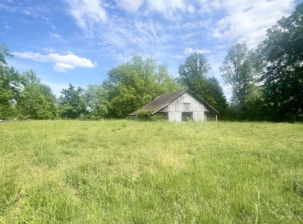 Independence Loop, Lexington, TN 38351