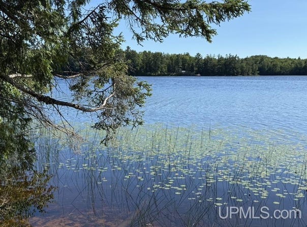 8713 N Boot Lake, Manistique, MI 49854